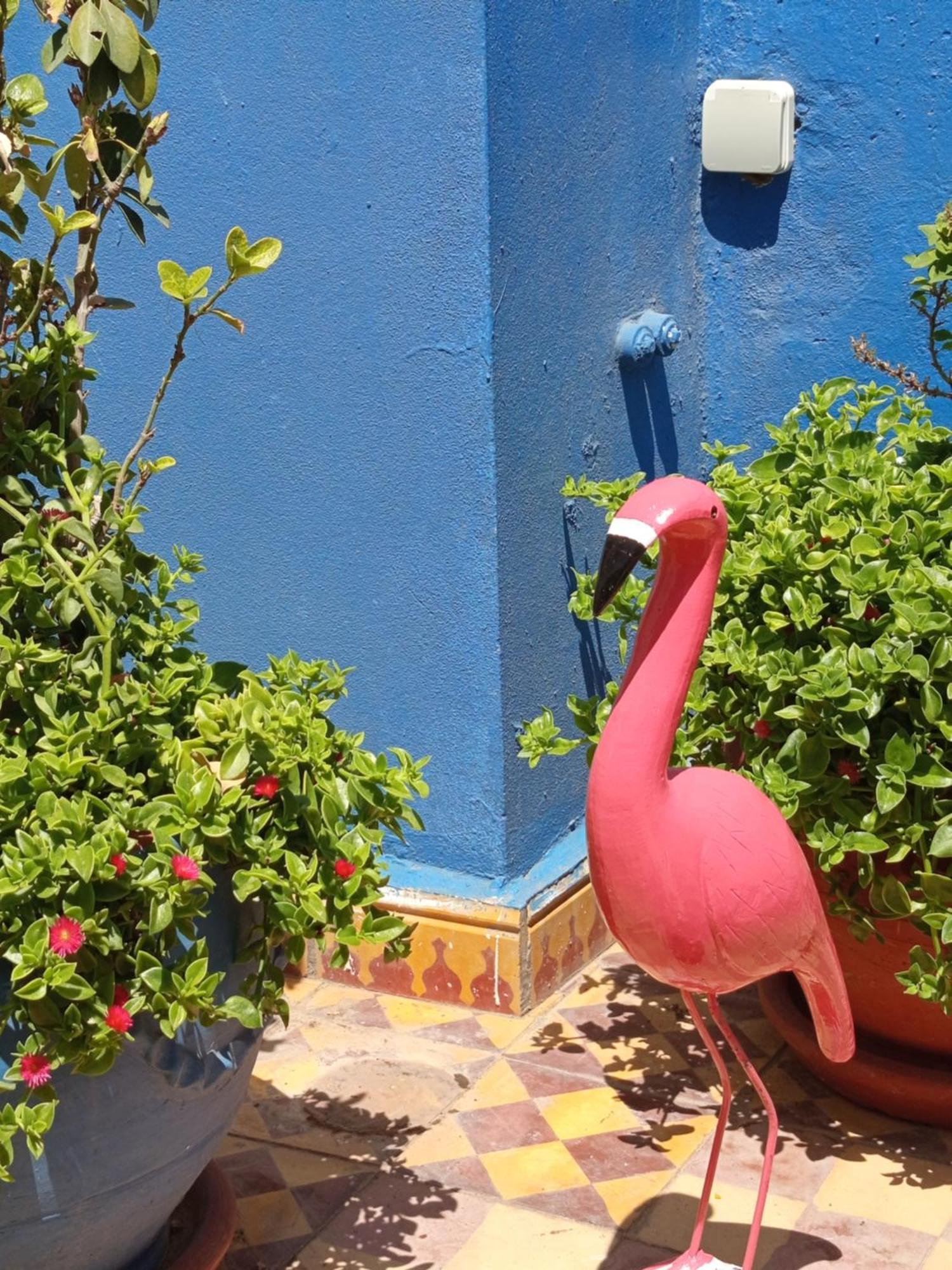 Riad Derb El Aarsa Marrakesh Exterior photo